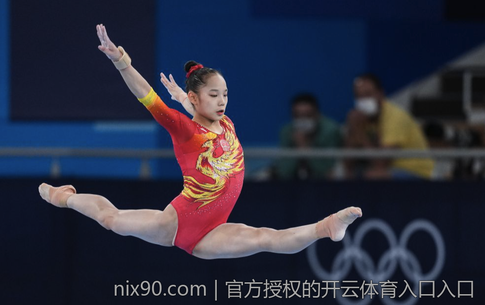 官方授权的开云体育入口入口